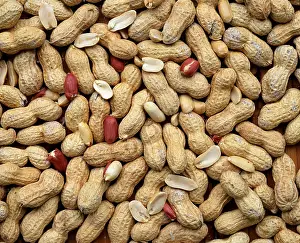 Deserted Grocery Store Photos Drucke: Peanuts (Arachis hypogaea) peanut