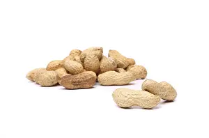 Legume Plant Drucke: Two peanuts in closeup on the peanut background