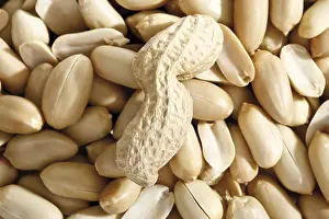 Food Photography Studio Background Drucke: Peanuts, full format
