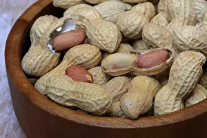 Studio Shot Of Peanuts Drucke: Peanuts in shell, Germany