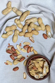 Studio Shot Peanuts Drucke: Peanuts in shell, partially opened, Germany