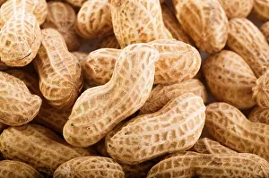 Studio Shot Peanuts Drucke: Peanuts with shells