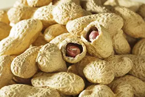 Studio Shot Of Nuts Drucke: Peanuts in shells