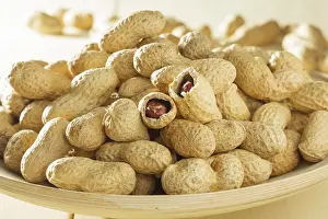 Studio Shot Of Peanuts Drucke: Peanuts in shells
