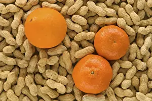 Fruit And Nut Photography Drucke: Peanuts and tangerines