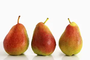 Fresh Pears Drucke: Three pears