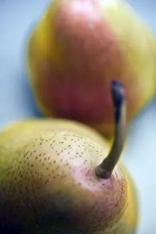 Studio Shot Fruits Drucke: Pears