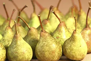 Fruit Arrangement Drucke: Pears
