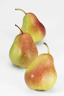 Studio Shot Fruits Drucke: Pears