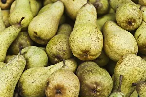Healthy Fruits Drucke: Pears