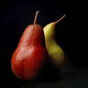 Fruit On Black Ground Drucke: Two pears on a black background