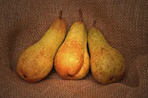 Vitamin Rich Fruit Images Drucke: Three pears on jute sack