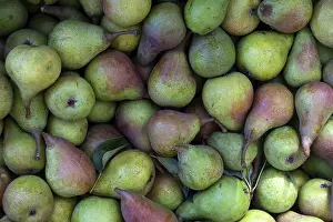 Full Frame Fruit Images Drucke: Pears (Pyrus)