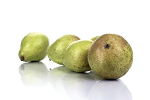 Grocery Store Produce Drucke: Pears (Pyrus)