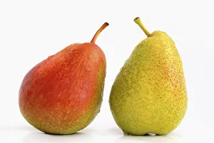 Fruity Still Life Photos Drucke: Two pears, red and green