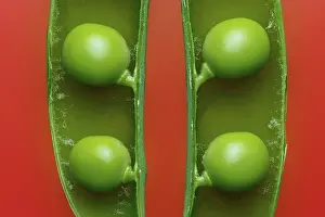 Studio Shot Of Peas Drucke: Peas in a pod, detail