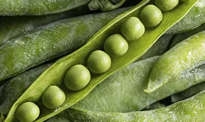 Weight Loss Diet Tips Drucke: Peas pod top view
