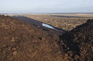 Peat Extraction Europe Drucke: Peat cutting and subsequent deep ploughing