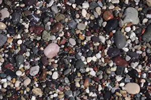 Pebbles On Beach Drucke: Pebbles on the beach