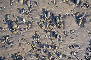 Northern Europe Shore Drucke: Pebbles on beach sand, Cornwall