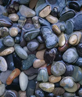 Uninhabited Waterside Drucke: Pebbles in water