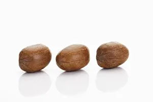 Pecan Nuts Drucke: Three pecan nuts