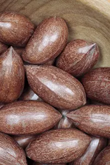 Studio Shot Of Pecans Drucke: Pecan nuts