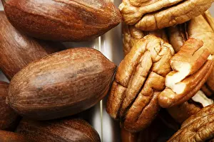 Pecan Nuts Drucke: Pecan nuts and kernels