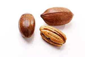 Studio Background Cuisine Drucke: Pecans