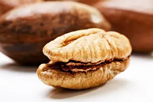 Studio Shot Of Pecans Drucke: Pecans