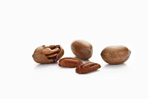 Studio Shot Of Nuts Drucke: Pecans and Pecan nuts