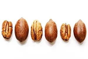 Studio Shot Of Pecans Drucke: Pecans with and without shells