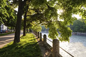 Summer In Upper Bavaria Drucke: Pedestrian path with maple trees on the Isar