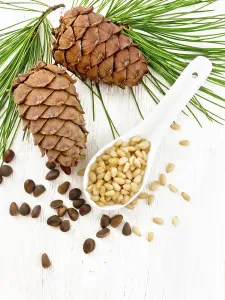 Wooden Board Background Drucke: Peeled kernels of cedar nuts in a spoon