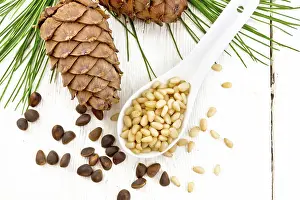 Uninhabited Forest Scene Drucke: Peeled kernels of cedar nuts in a spoon