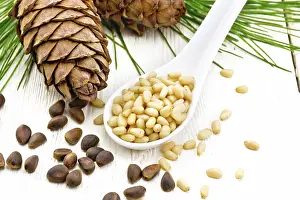 Coniferous Tree Photos Drucke: Peeled kernels of cedar nuts in a spoon