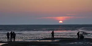 Evening Sunset In Germany Drucke: People looking at the sunset, mudflat
