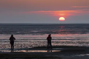 North Sea Coastline Scene Drucke: People looking at the sunset, mudflat