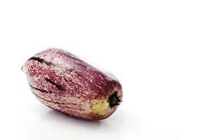 Vitamin Rich Fruit Drucke: Pepino melon