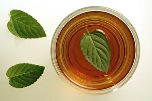 Peppermint Tea Drucke: Peppermint tea
