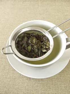 Peppermint Tea Drucke: Peppermint tea in a tea strainer