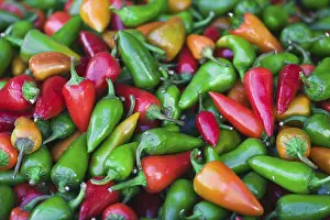 Colorful Peppers Drucke: Peppers