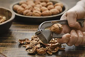Male Chef Cooking Drucke: A person is cracking open a walnut using a metal nutcracker