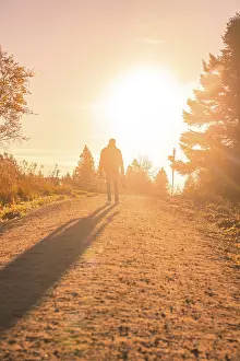 Central Europe Evening Sky Drucke: Person on a forest path in the sunset