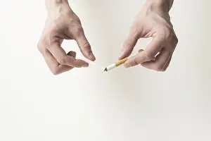 Smoking Health Risks Drucke: Persons hand breaking cigarette white background