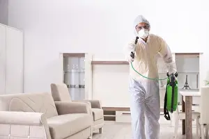 Natural Environment Wildlife Photography Drucke: Pest control contractor working in the flat