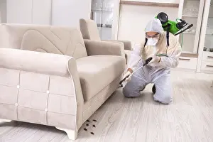 Natural Environment Pest Control Drucke: Pest control contractor working in the flat