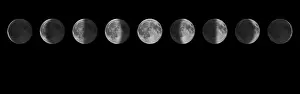Zodiac Constellations Drucke: Phases of the Moon. Lunar cycle