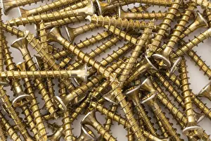 Light Colored Background Drucke: Phillips screws on a white background