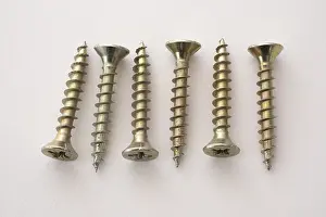 Light Colored Background Drucke: Phillips screws on a white background